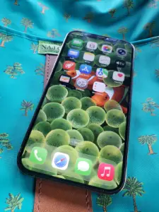 Apple iPhone 12pro max 256gb