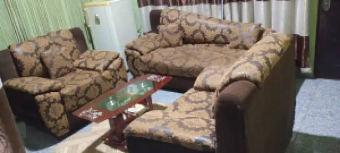 Cushion