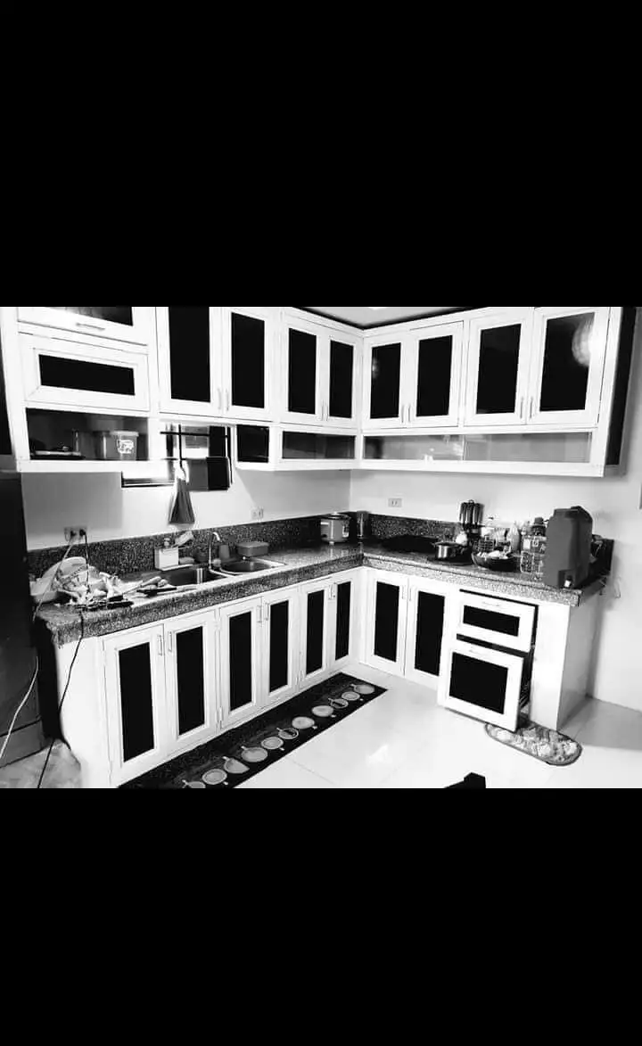 Aluminum Kitchen Cabinets